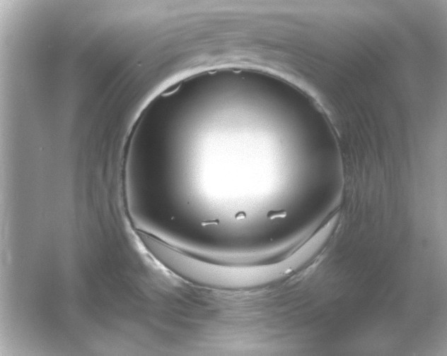 X0000066021534200603171519