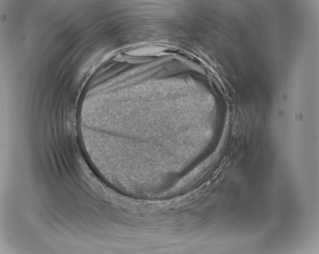 X0000066020002200603241547