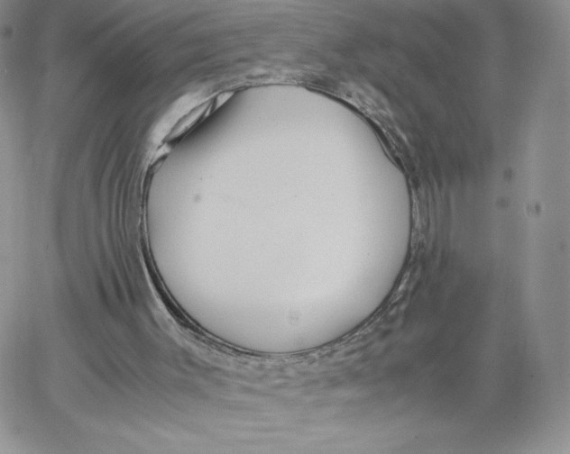 X0000066020003200603241547