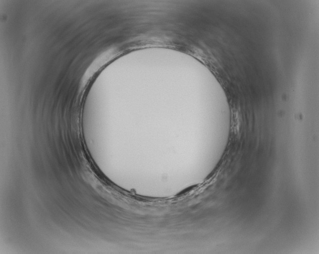 X0000066020004200603241547