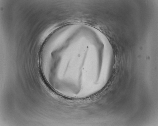 X0000066020005200603241547