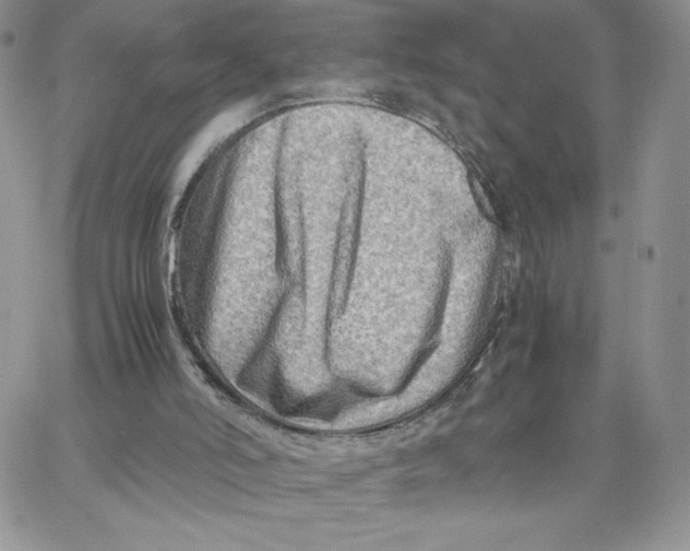 X0000066020006200603241547