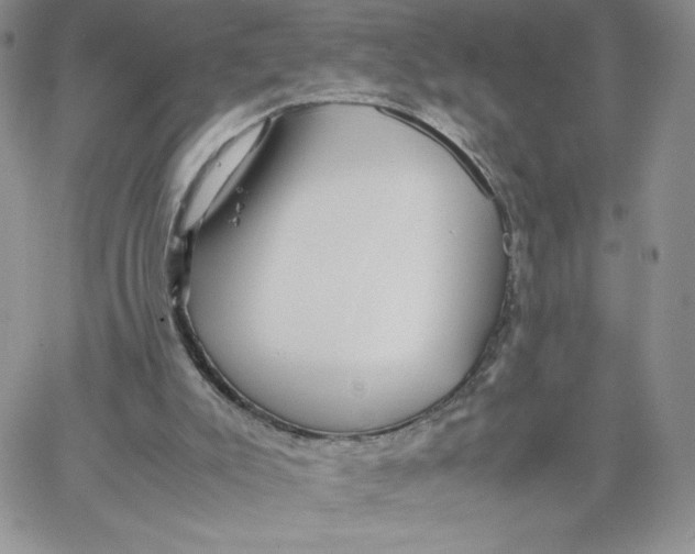 X0000066020007200603241547