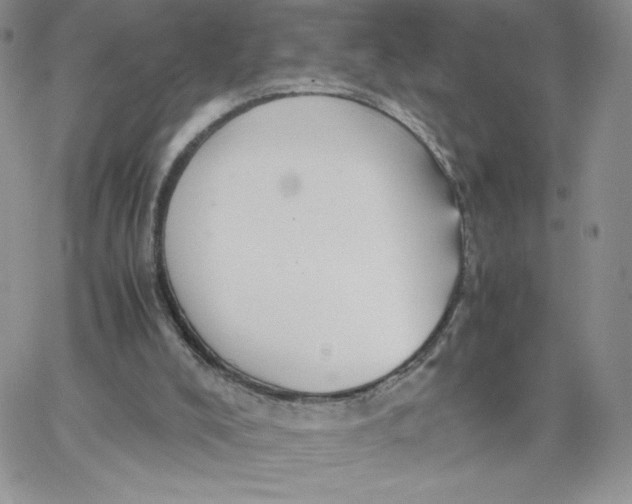 X0000066020008200603241547