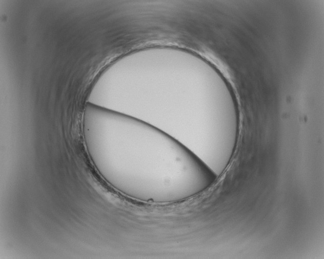 X0000066020009200603241547