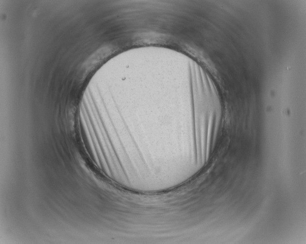 X0000066020010200603241547