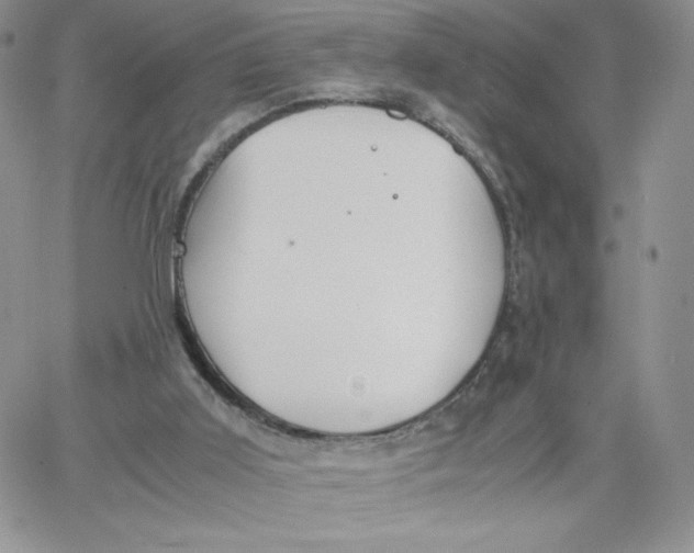 X0000066020011200603241547