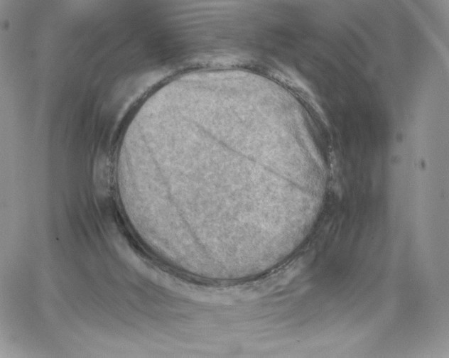 X0000066020012200603241547