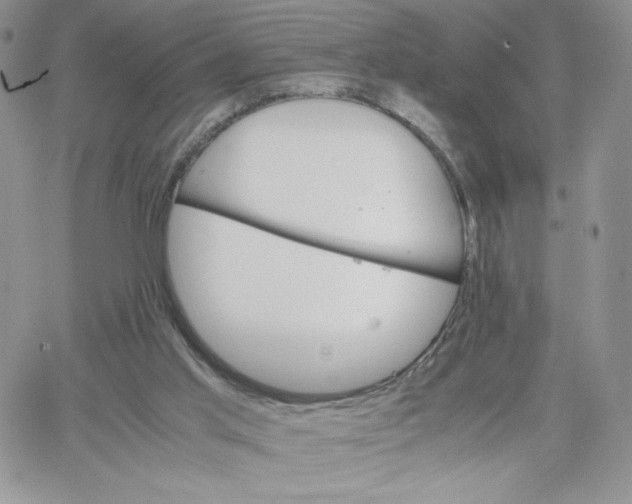 X0000066020013200603241546