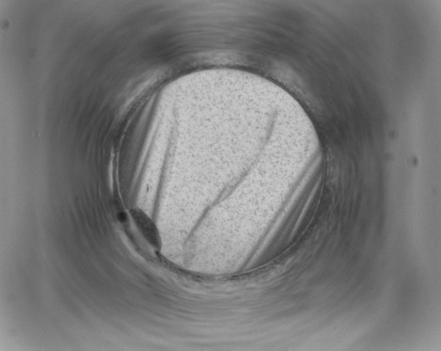 X0000066020014200603241546