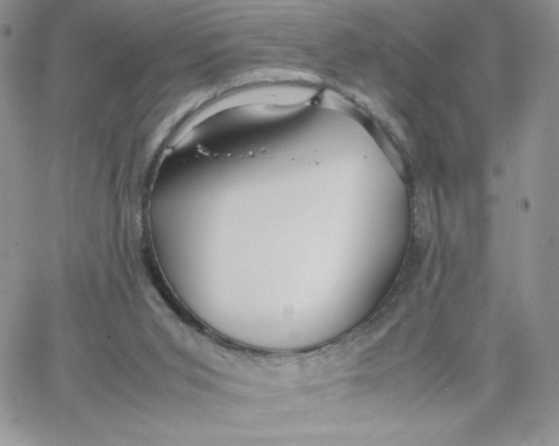 X0000066020015200603241546