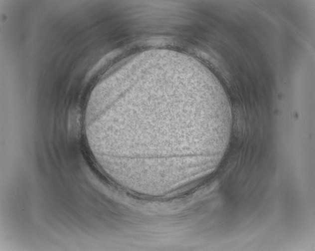 X0000066020016200603241546