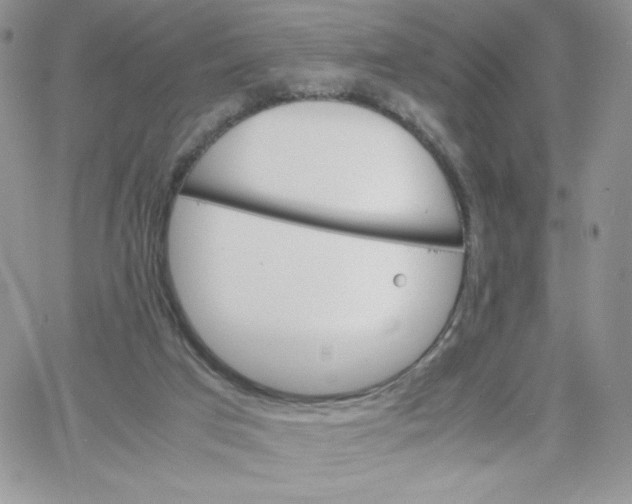 X0000066020017200603241546