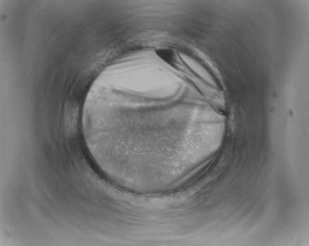 X0000066020018200603241546