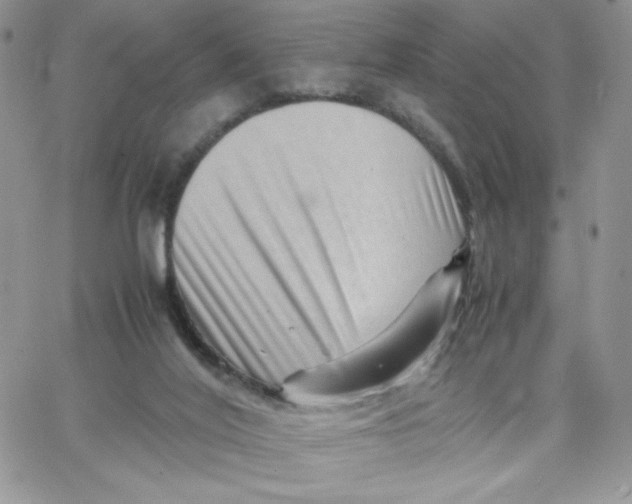 X0000066020020200603241546