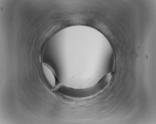 X0000066020021200603241546