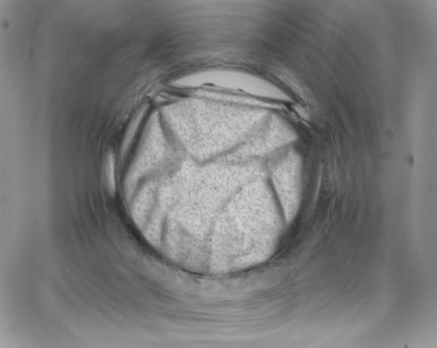 X0000066020022200603241546