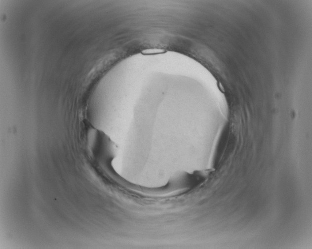 X0000066020023200603241546