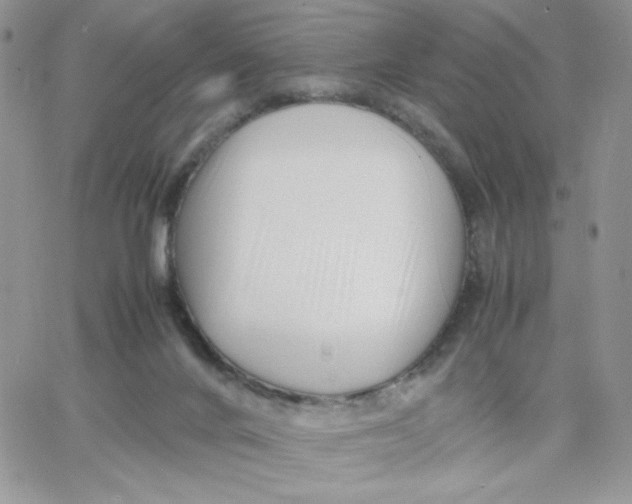 X0000066020024200603241546