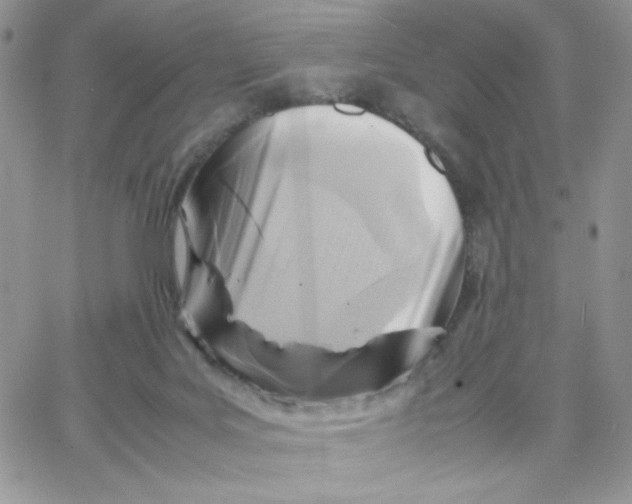 X0000066020027200603241546