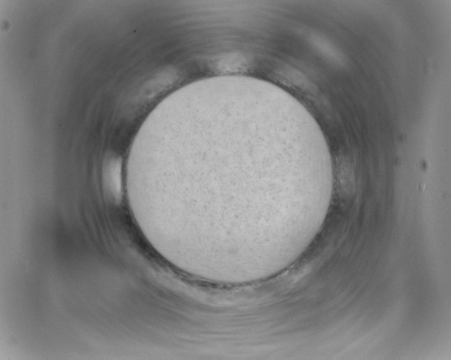 X0000066020028200603241546