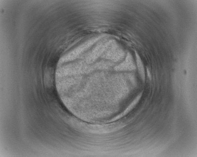 X0000066020030200603241546