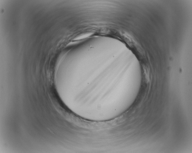 X0000066020031200603241546