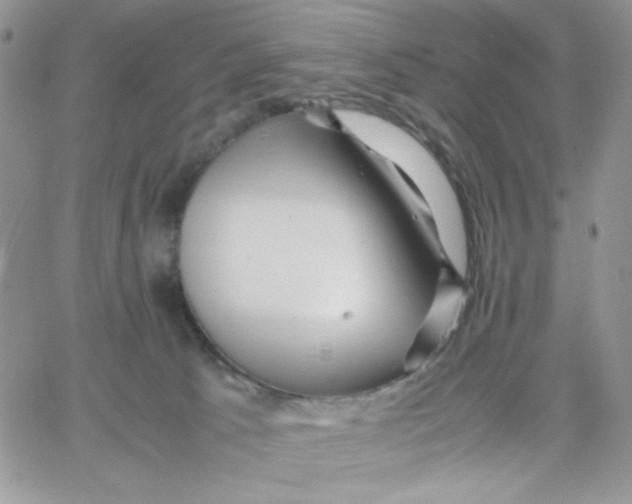 X0000066020033200603241546