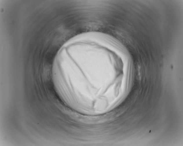 X0000066020034200603241546