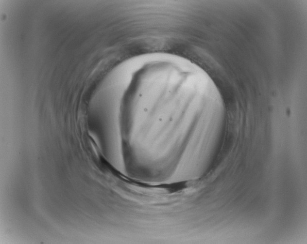 X0000066020035200603241546