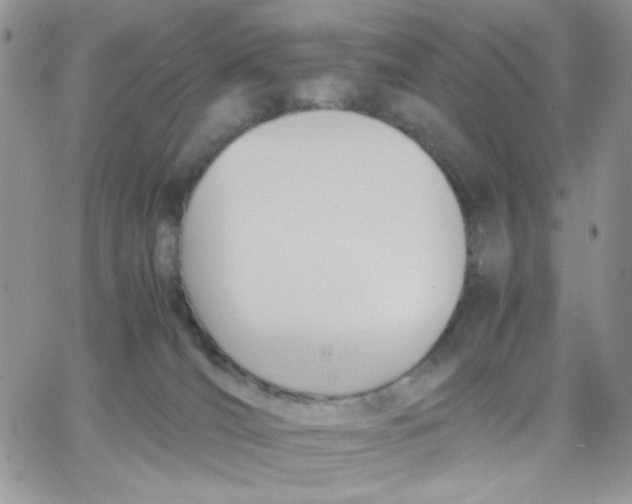 X0000066020036200603241546