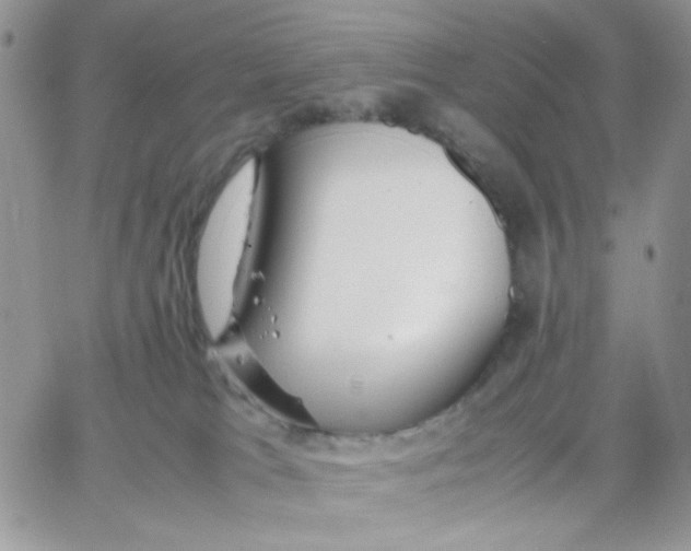 X0000066020037200603241546