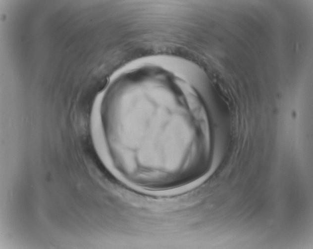 X0000066020039200603241546