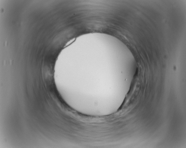 X0000066020040200603241546