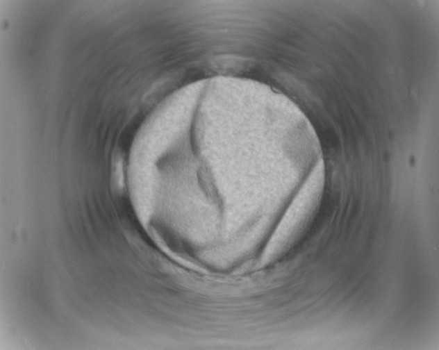 X0000066020042200603241546