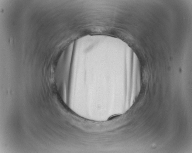 X0000066020043200603241546