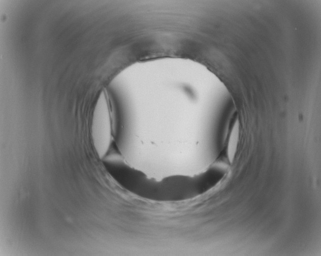 X0000066020045200603241546