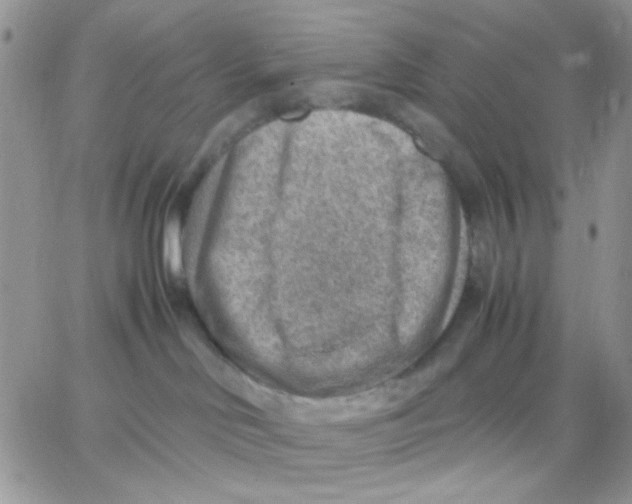 X0000066020046200603241546