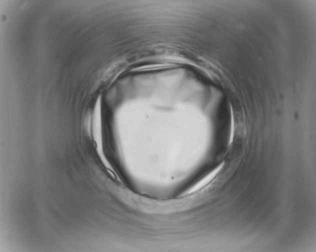 X0000066020047200603241546