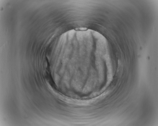 X0000066020048200603241546