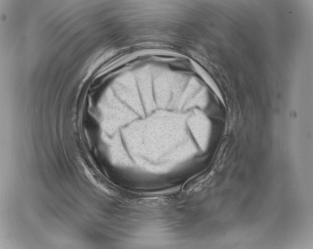 X0000066020050200603241545