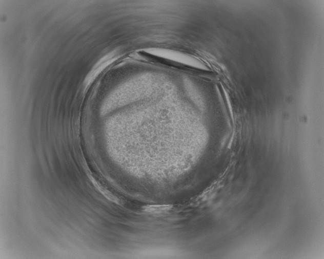 X0000066020051200603241545