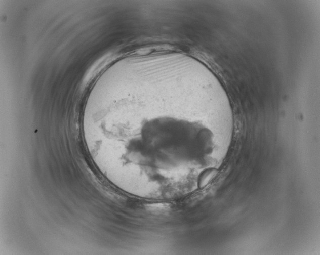 X0000066020053200603241545