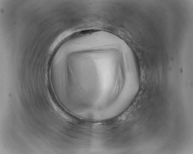 X0000066020054200603241545