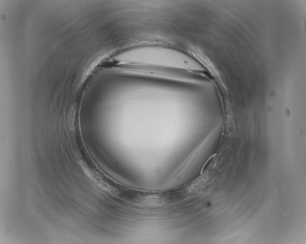 X0000066020058200603241545