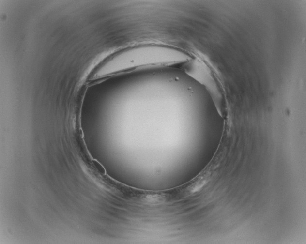 X0000066020060200603241545