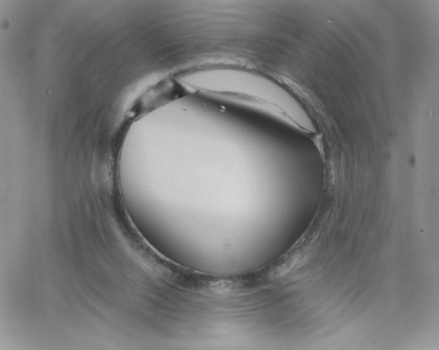 X0000066020064200603241545