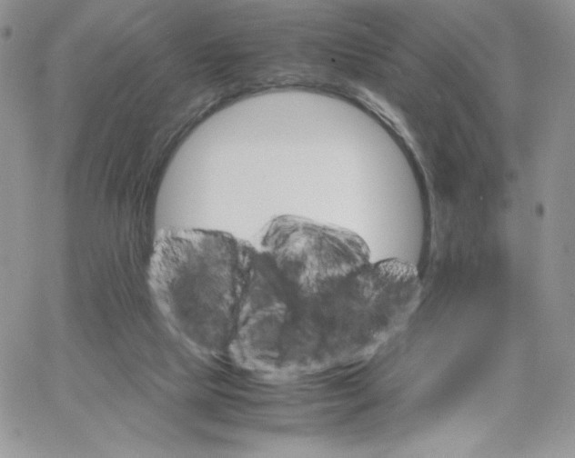 X0000066020065200603241545