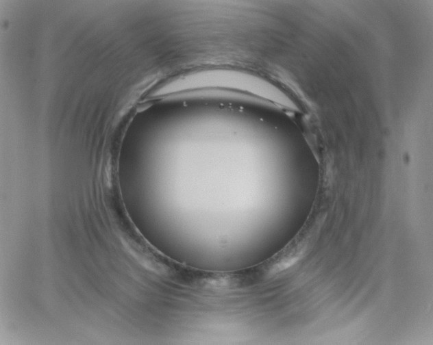 X0000066020068200603241545