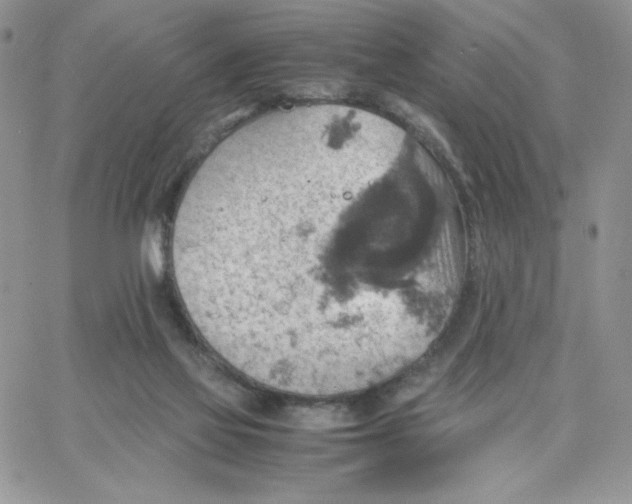 X0000066020069200603241545